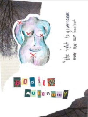 cover image of Bodily Autonomy